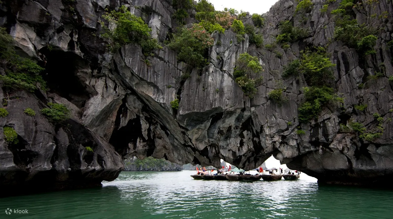 luon cave ti top island halong bay full day tour from hanoi
